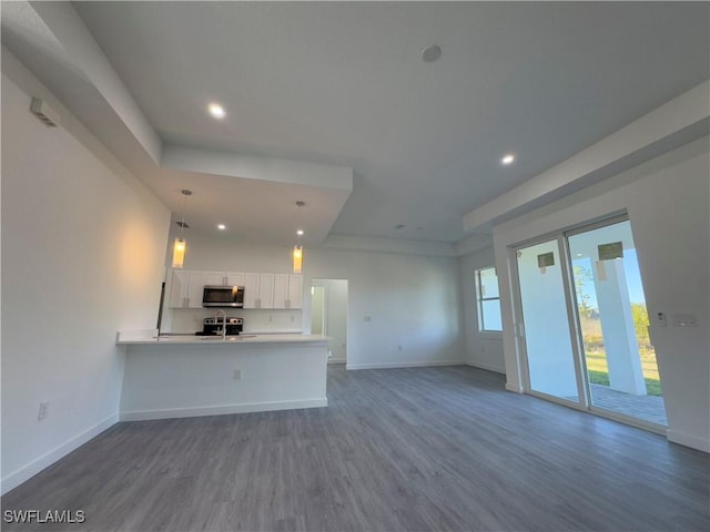 unfurnished living room with wood-type flooring and sink