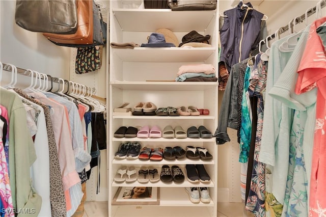 view of spacious closet