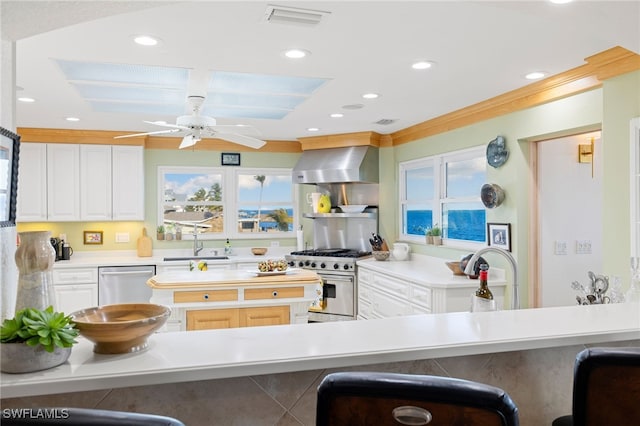 kitchen with ornamental molding, stainless steel appliances, wall chimney exhaust hood, and sink