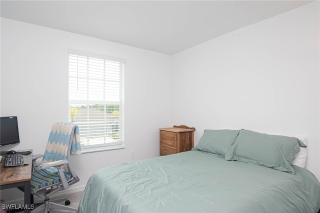 bedroom with carpet floors