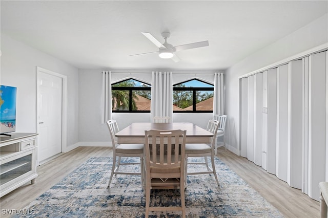 dining room with light hardwood / wood-style floors and ceiling fan