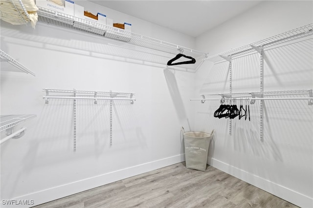 walk in closet with hardwood / wood-style flooring