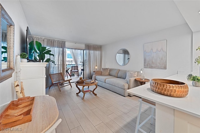 living room featuring light hardwood / wood-style floors