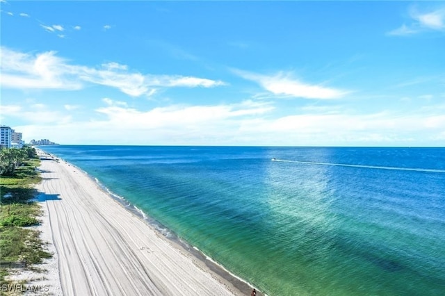 water view with a beach view