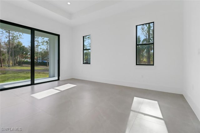 unfurnished room featuring a raised ceiling