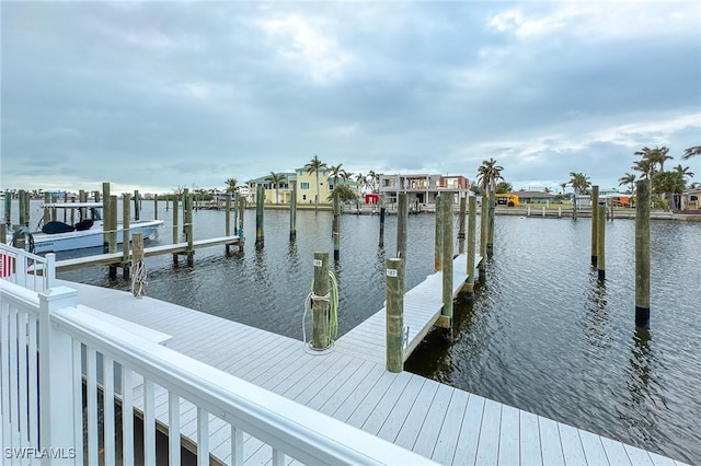 dock area with a water view