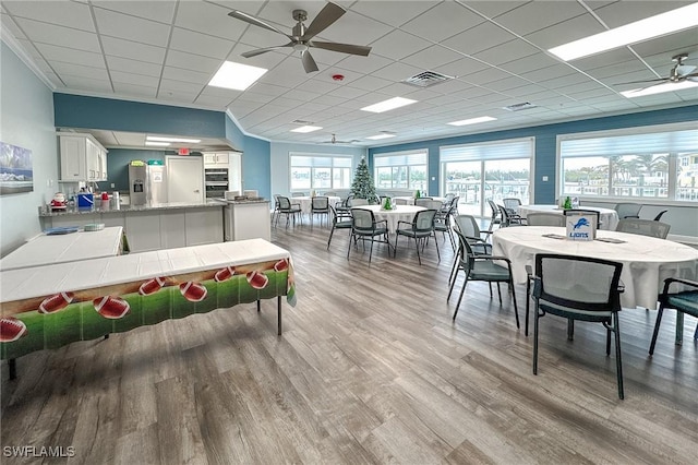 dining area with ceiling fan, a drop ceiling, and light wood-type flooring