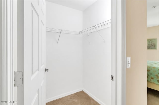 spacious closet featuring carpet floors