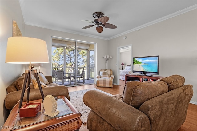 living room featuring ceiling fan, crown molding, and light hardwood / wood-style flooring