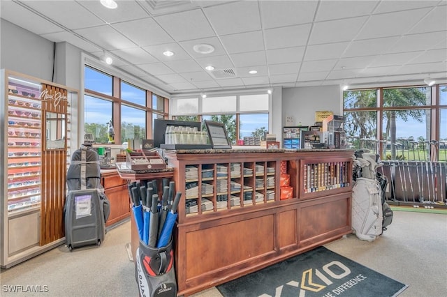 miscellaneous room featuring light colored carpet, a wealth of natural light, and a drop ceiling