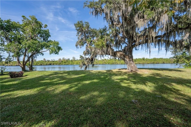 view of yard with a water view