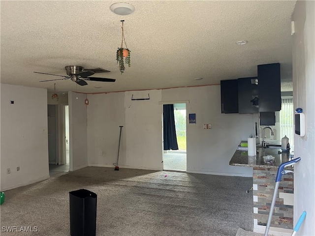 interior space with carpet flooring, a textured ceiling, ceiling fan, and sink