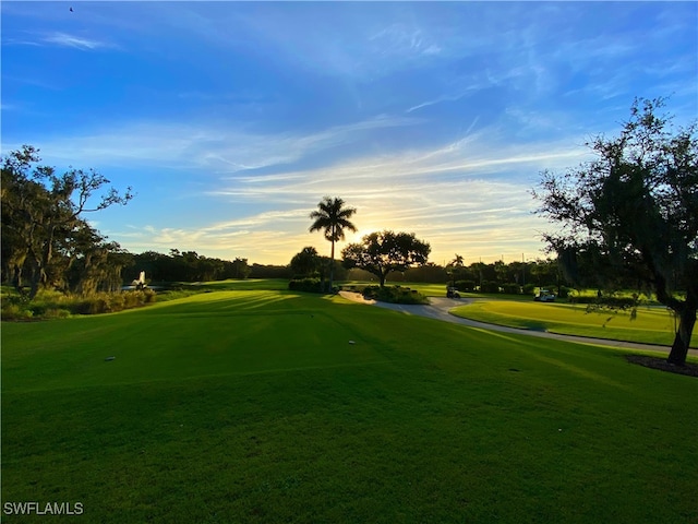 surrounding community featuring a lawn