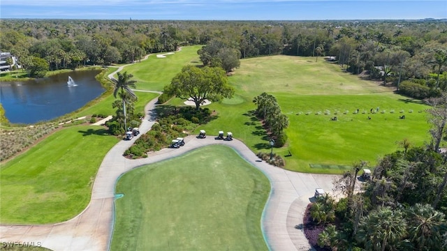 bird's eye view with a wooded view and a water view