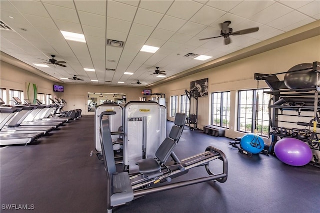 workout area with a drop ceiling and ceiling fan