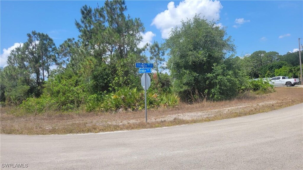 769 Ferndale Ave S, Lehigh Acres, FL 33974 - photo 2