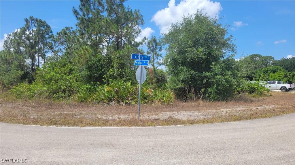 769 Ferndale Ave S, Lehigh Acres, FL 33974 - photo 3