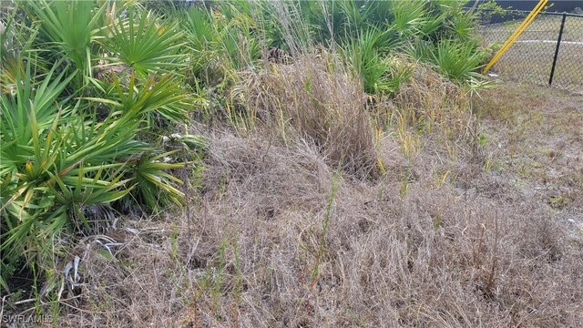 769 Ferndale Ave S, Lehigh Acres, FL 33974 - photo 4