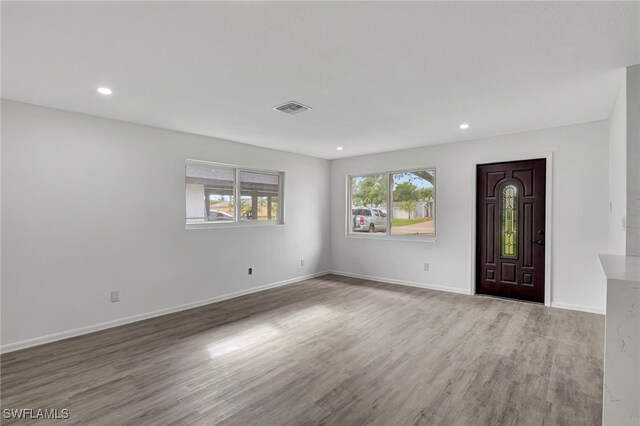 entryway with wood-type flooring