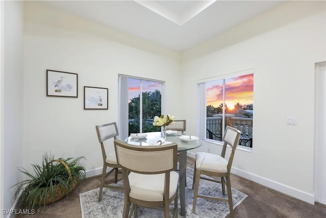 view of carpeted dining room