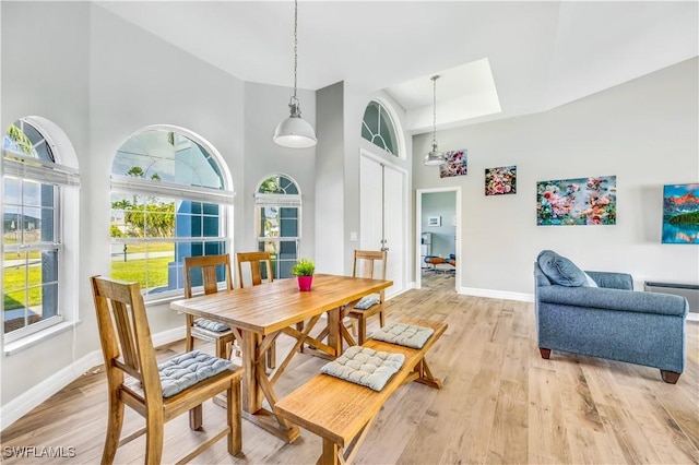 dining room featuring a high ceiling, a skylight, light hardwood / wood-style floors, and a wealth of natural light