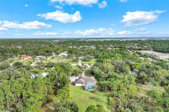 1191 13th St SW, Naples, FL 34117 - bird's eye view of a forest