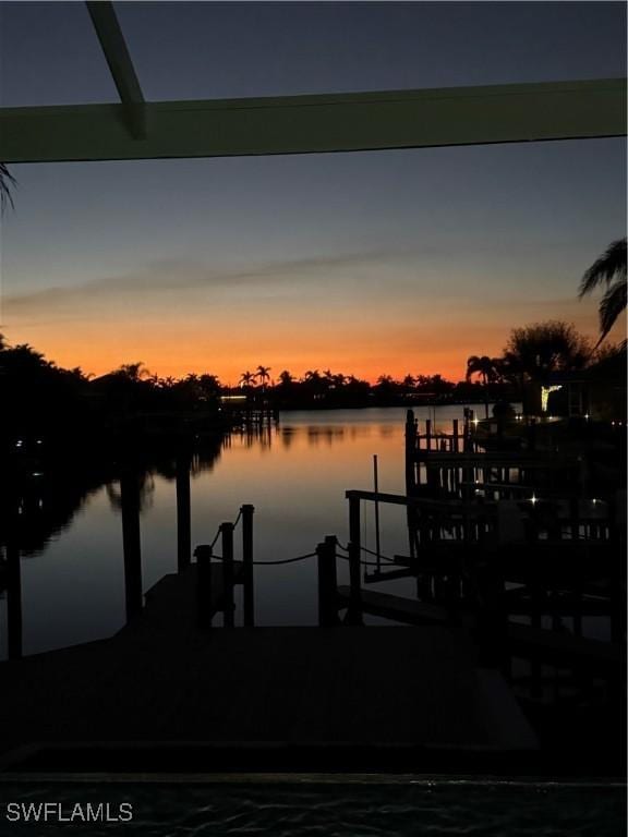 dock area featuring a water view