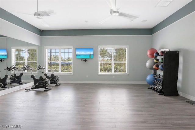 16522 Crescent Beach Way, Bonita Springs, FL 34135 - workout room featuring wood finished floors, a ceiling fan, and baseboards