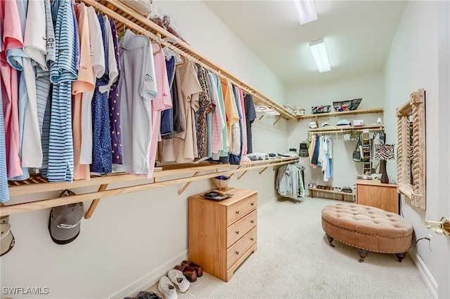 spacious closet with light colored carpet