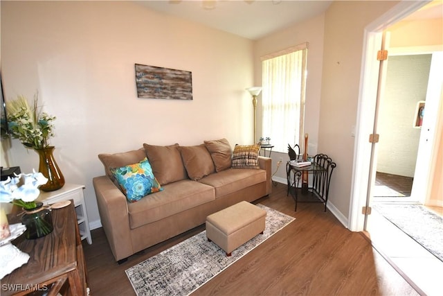 living room featuring dark wood-type flooring