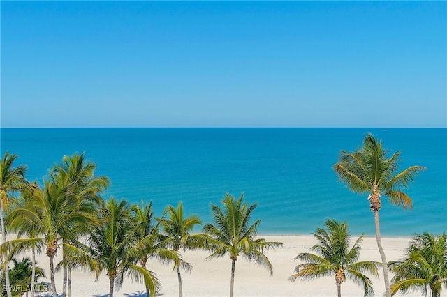 view of water feature with a beach view