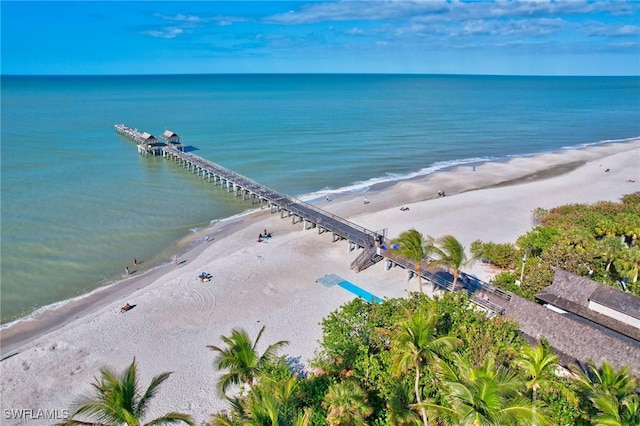 drone / aerial view with a water view and a beach view