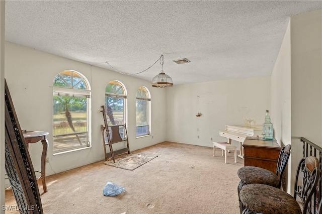 interior space with light colored carpet and a textured ceiling