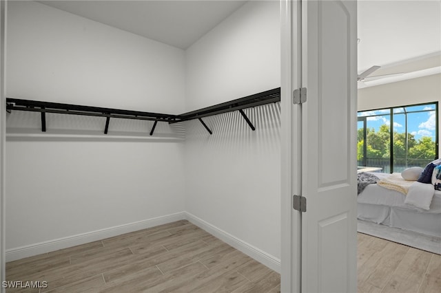 walk in closet featuring ceiling fan and light hardwood / wood-style flooring