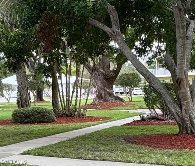 view of community featuring a lawn