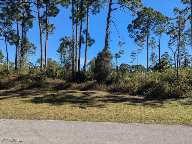 817 Pinecastle Dr, Lehigh Acres FL, 33974 land for sale