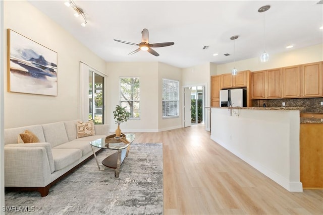 living room featuring ceiling fan and light wood-type flooring