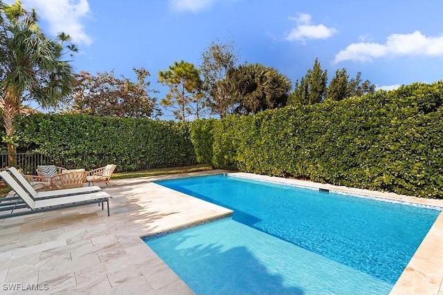 view of pool featuring a patio area