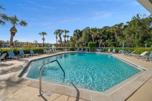 view of swimming pool featuring a patio area