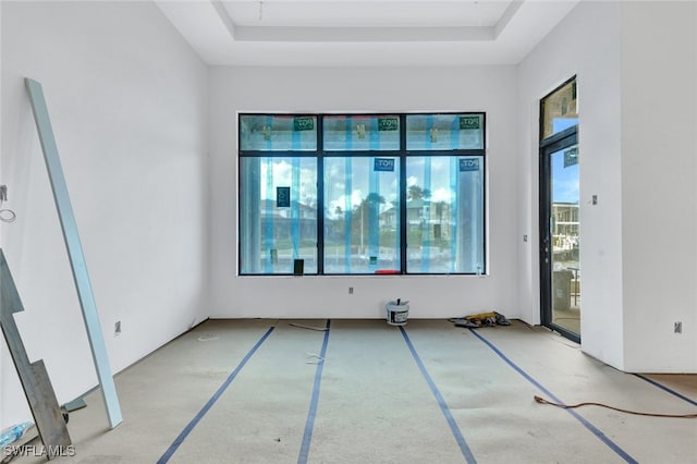 unfurnished room featuring a raised ceiling