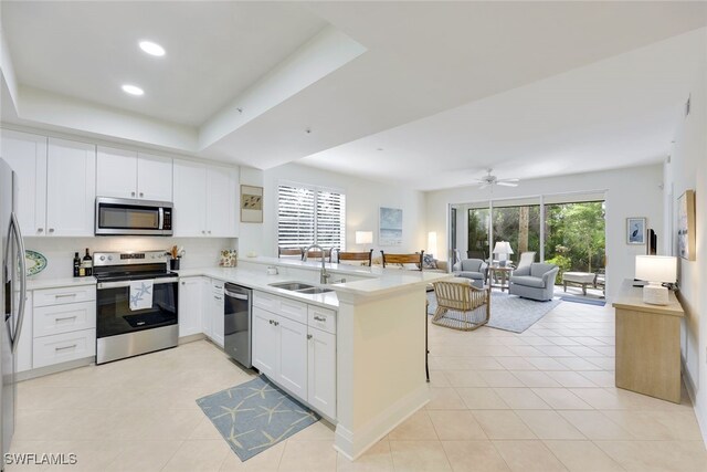 kitchen featuring kitchen peninsula, stainless steel appliances, a tray ceiling, sink, and white cabinetry