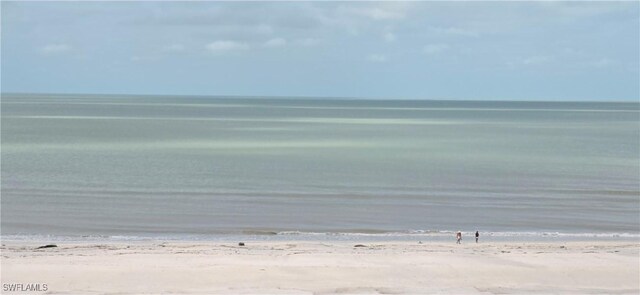 view of water feature with a beach view