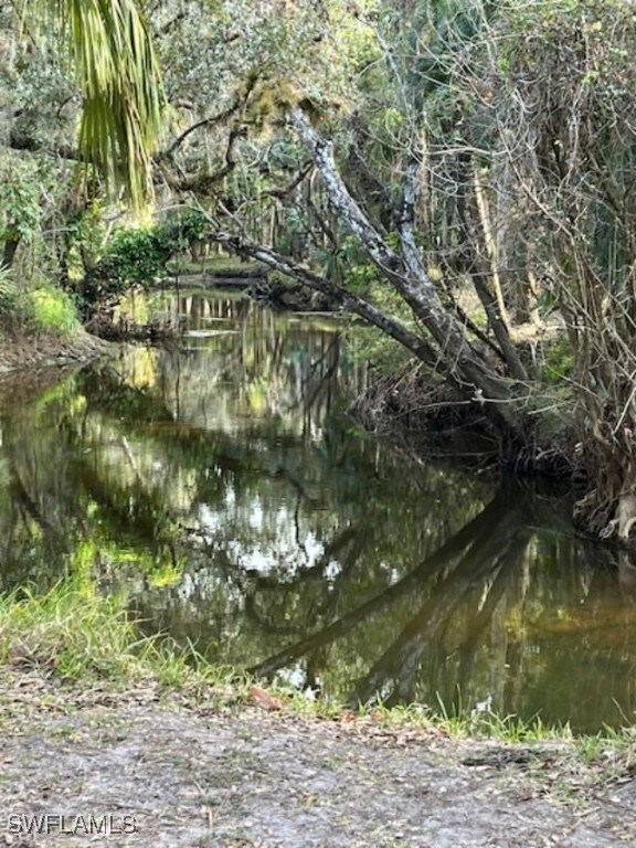 view of local wilderness with a water view