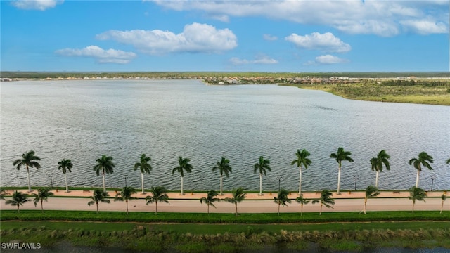 property view of water