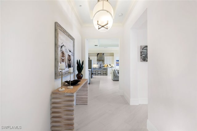 hall with ornamental molding and a tray ceiling