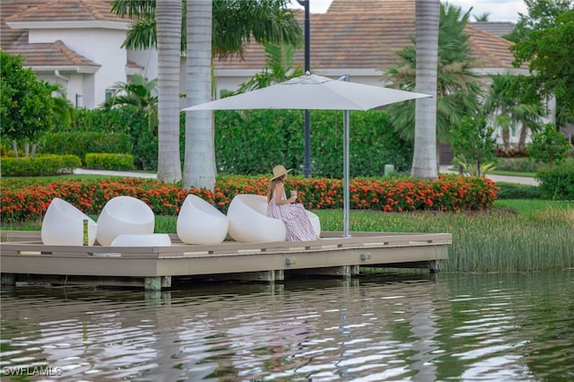 dock area with a water view