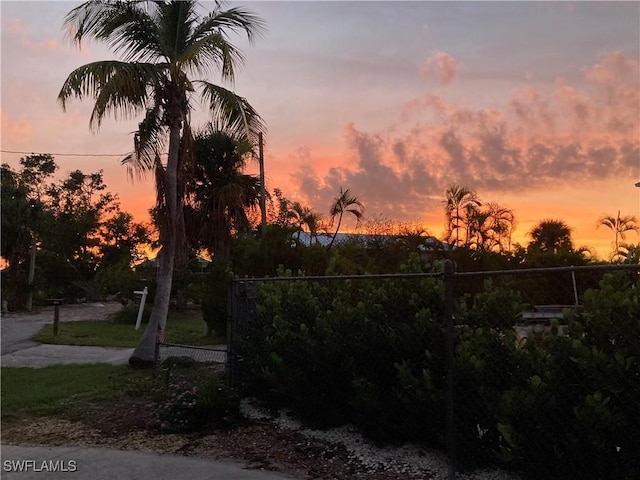 view of yard at dusk