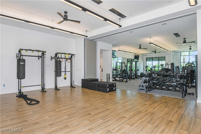 workout area with ceiling fan and light hardwood / wood-style floors