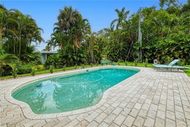 view of pool with a patio