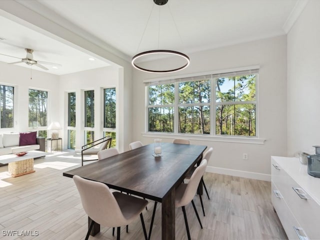 dining area featuring ceiling fan and light hardwood / wood-style floors